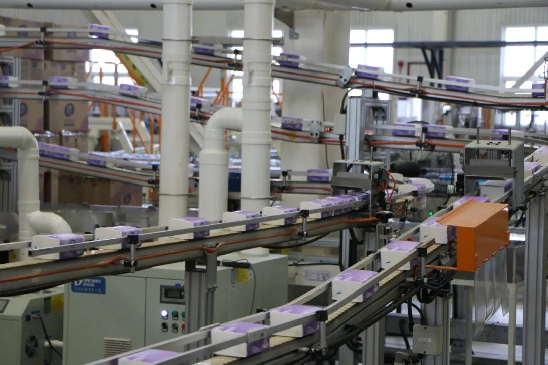 维达纸业.唐达 摄