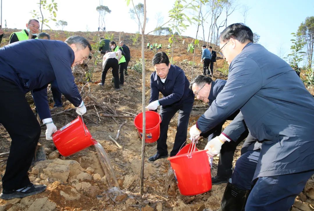 陈少荣、陈志清等市四套班子领导和干部代表共同参与新春植树活动。