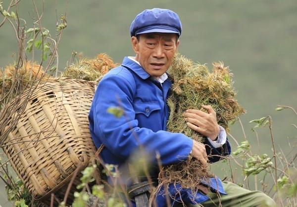 87,3.47%)写给杨善洲的顺口溜.