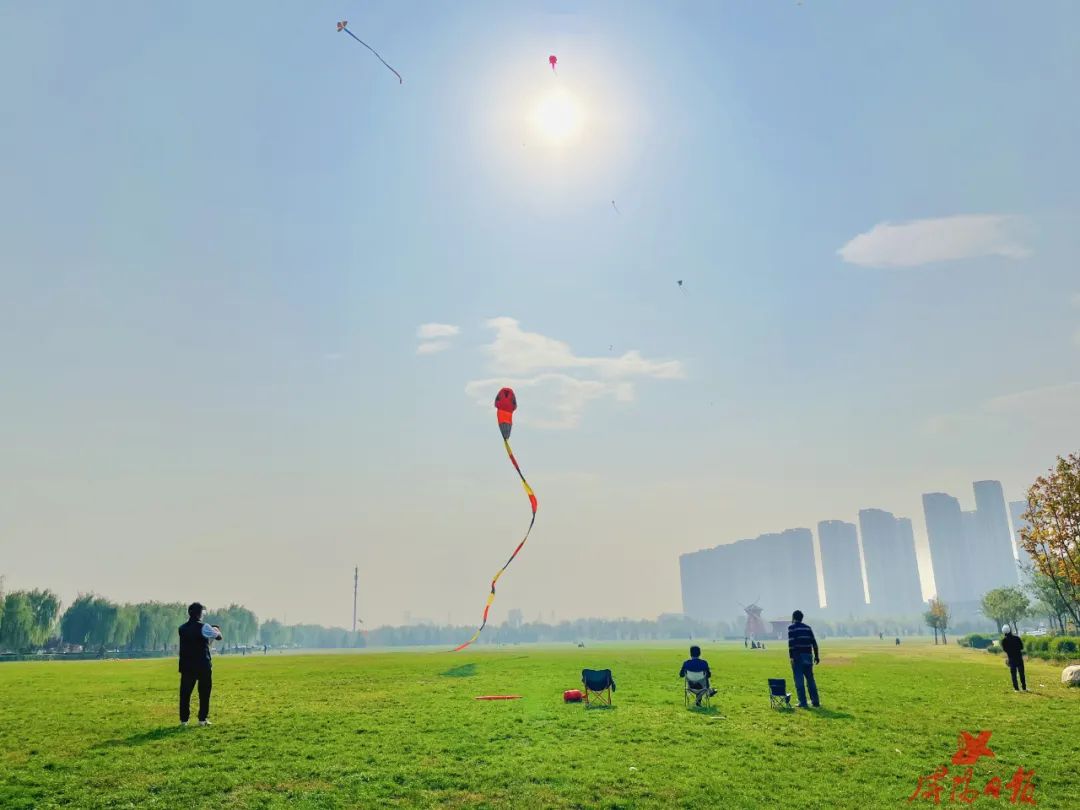 咸阳市民在植物园附近的草坪上放风筝。