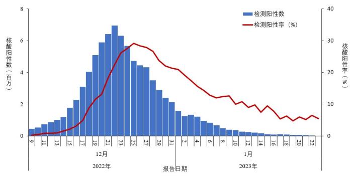 新冠病毒传不动了？专家称目前这些人受影响最大|新冠肺炎_新闻