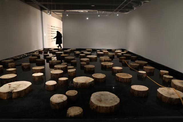 探展走进首届北京艺术双年展感受北京的浪漫