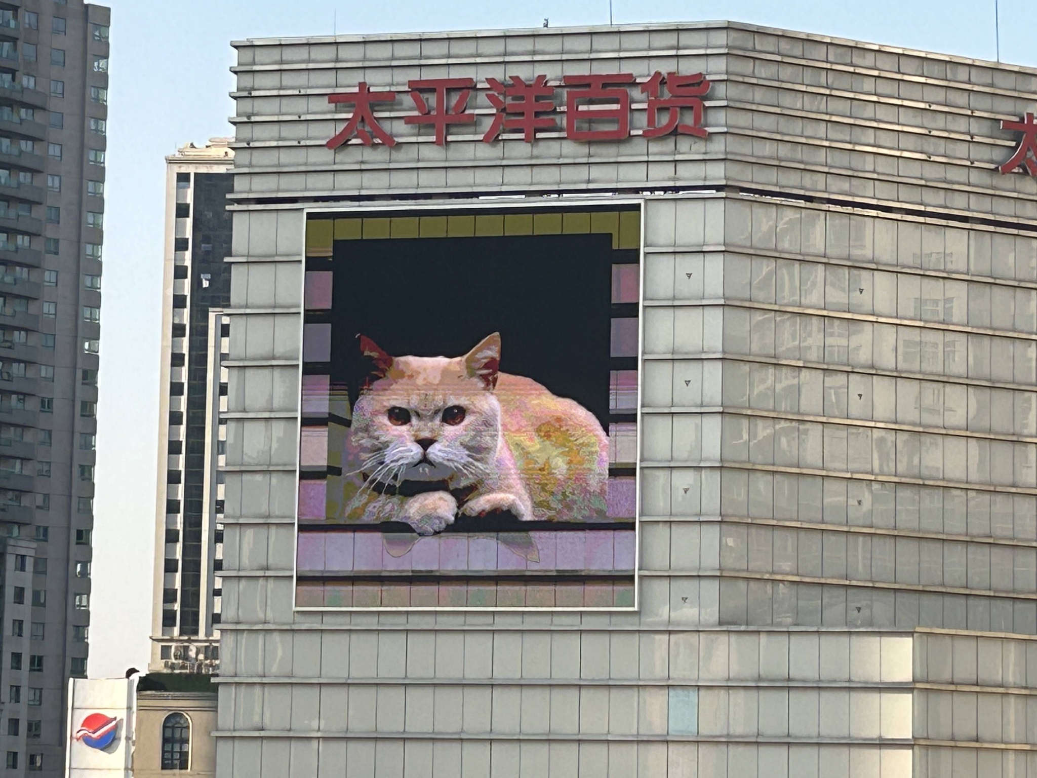 2023年1月30日,徐家汇商圈,太平洋百货外墙屏幕上的3d裸眼橘猫.