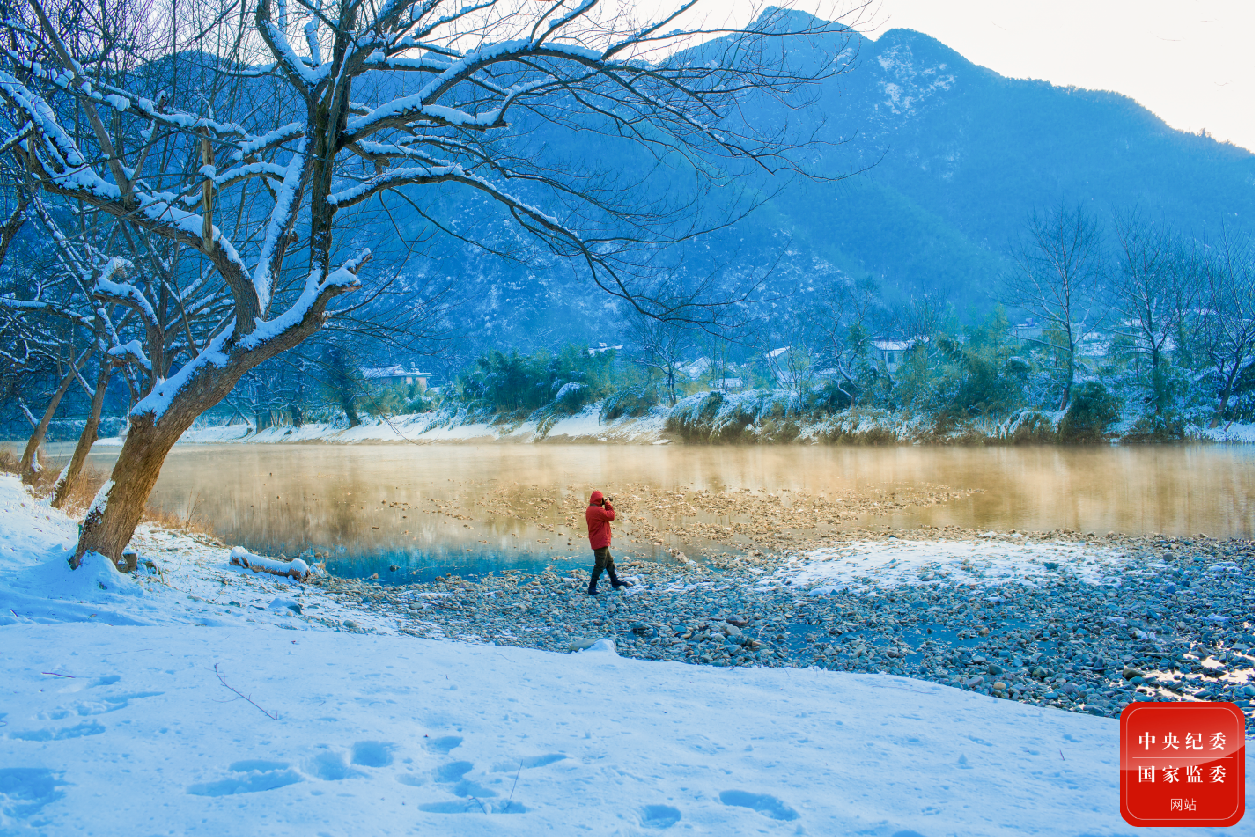 跟着镜头品诗词丨雪霏霏 风凛凛|诗词_新浪财经_新浪网