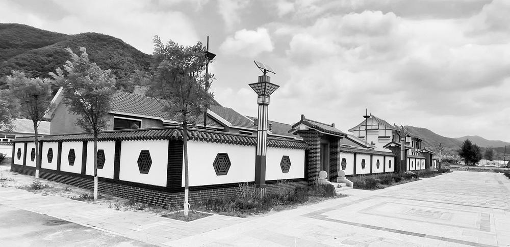 "绽放"的桂云花 "舒展"的岭东村