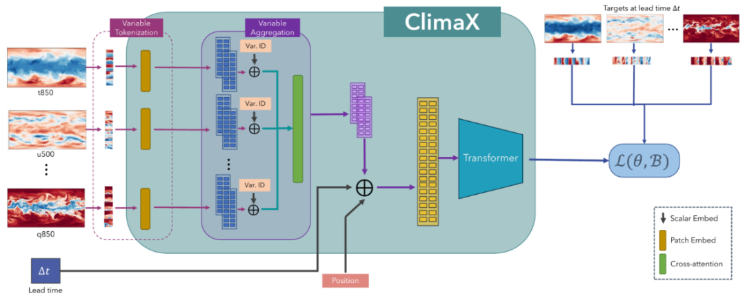 图示：预训练期间使用的 ClimaX 架构。（来源：论文）