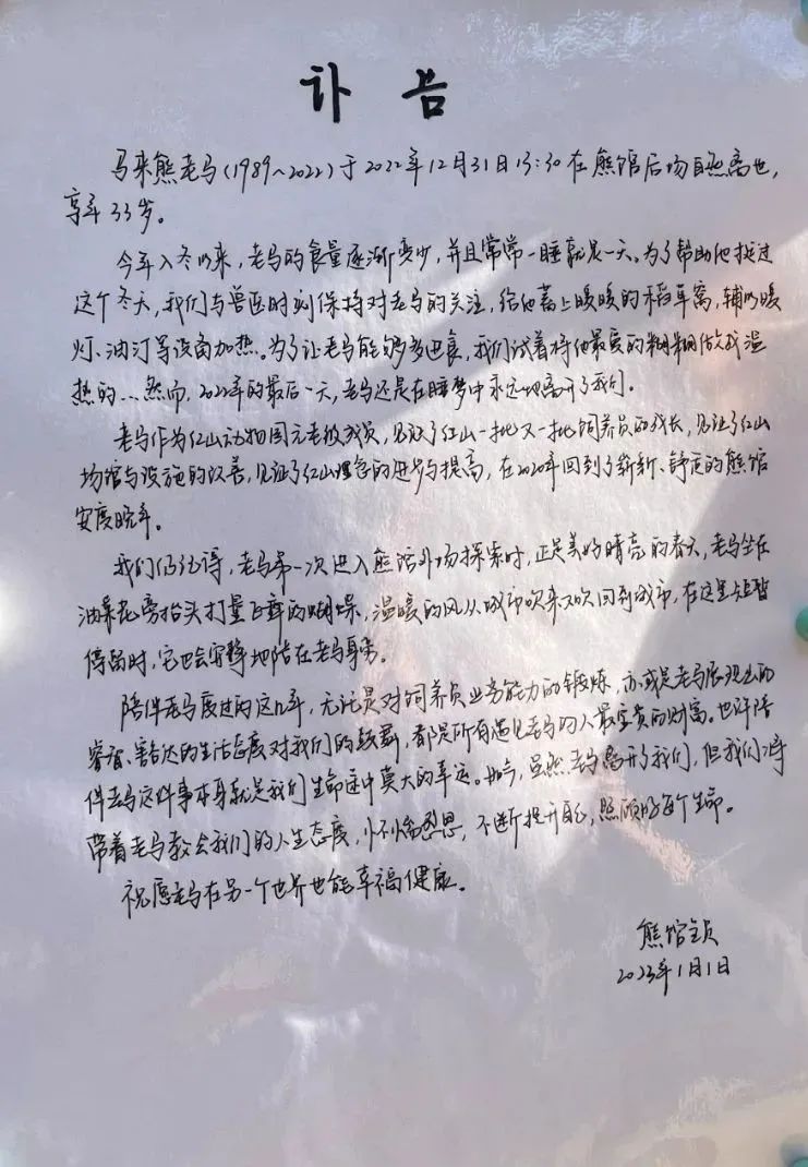 一张关于“老马”的讣告