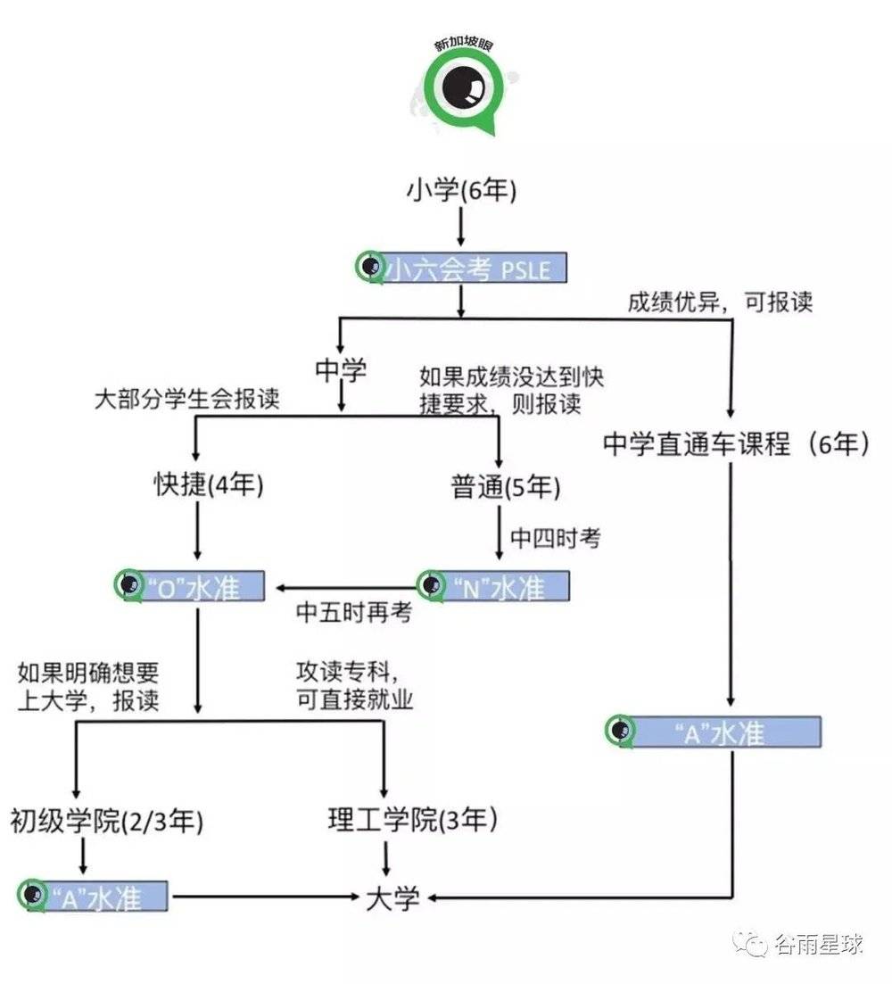 新加坡分流的教育体系,图片来自新加坡眼.