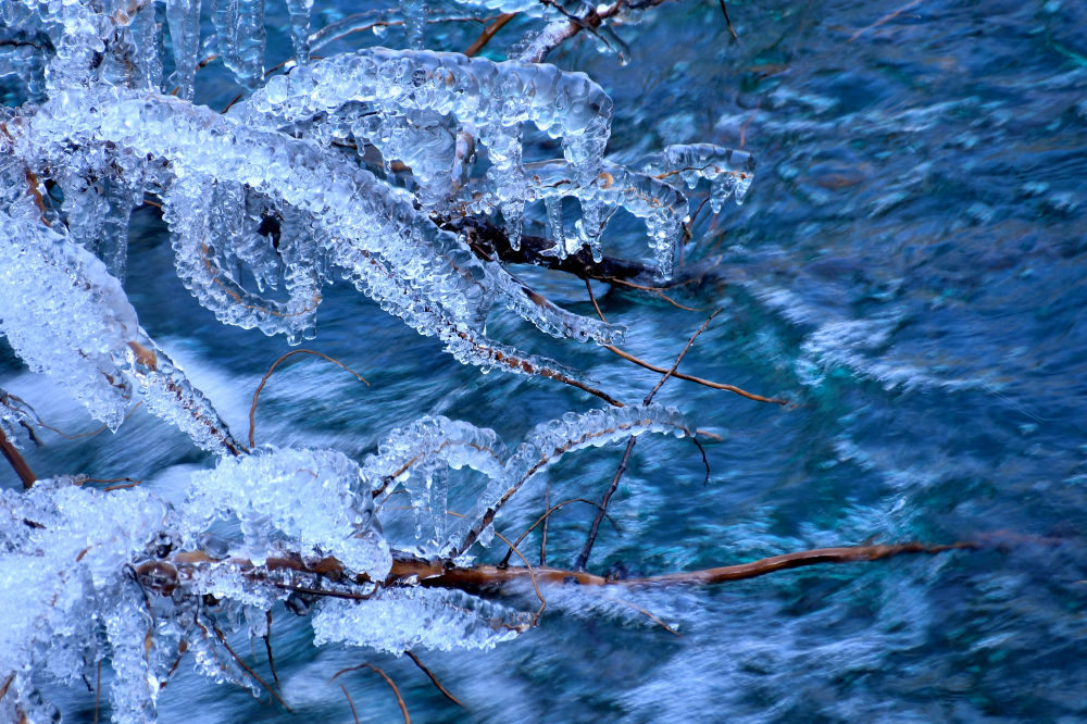 世界自然遗产地九寨沟冬季呈现出蓝冰景观.肖维阳 摄