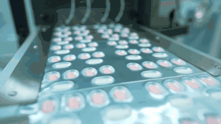 先诺欣试验用药生产中（图片来源：受访者供图）