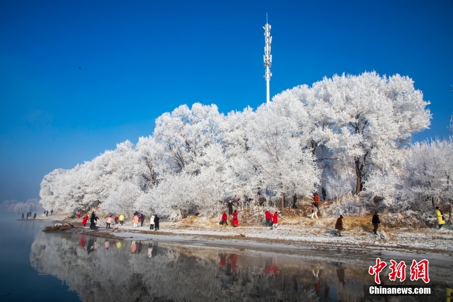 吉林雾凇被称为中国四大自然奇观之一.
