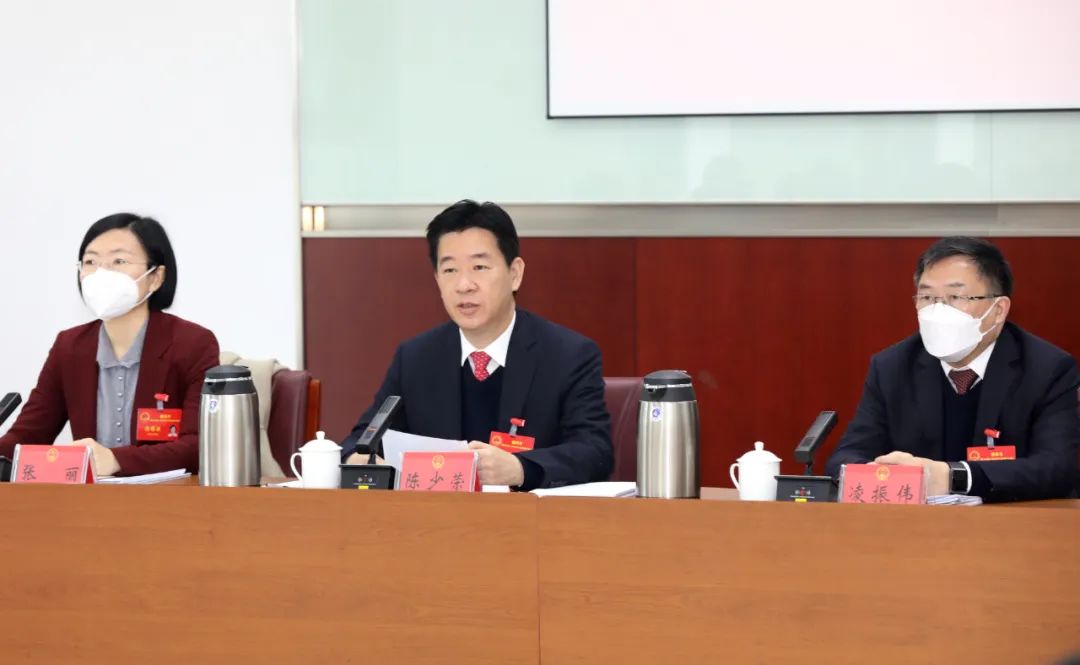 市委书记,市人大常委会主任陈少荣参加南雄代表团分组审议.