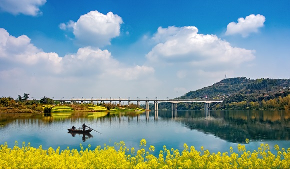 发现重庆湿地之美丨合川三江国家湿地公园美丽岸线扮靓人居环境