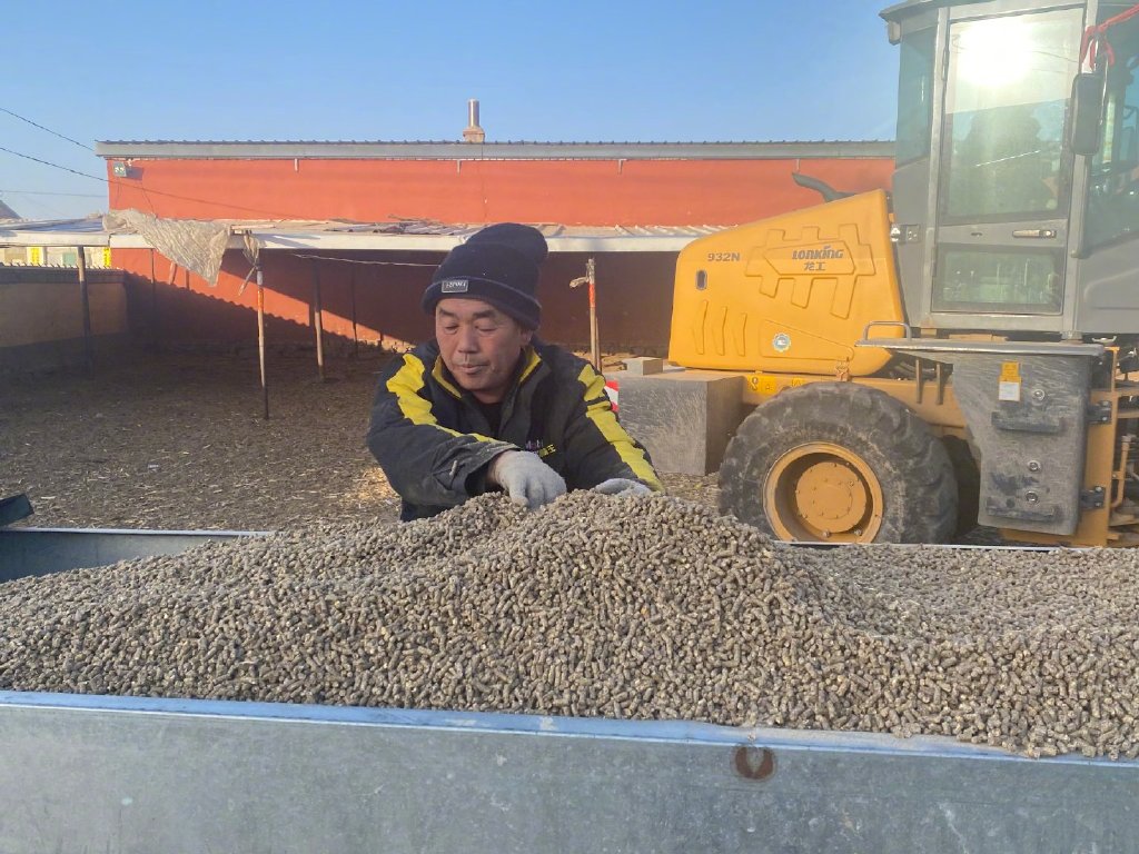 农历正月二十九，姐夫借了亲戚家的装载机，给饲料槽里装满饲料。新京报记者 乔迟 摄