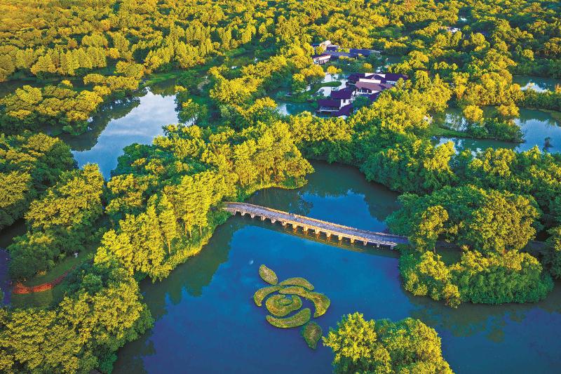 西溪湿地:人民群众共享的绿色空间