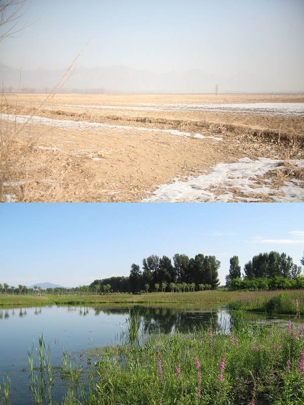 数据恢复软件免费版