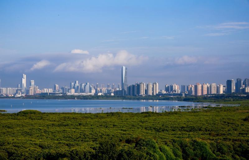 福田红树林湿地保护区