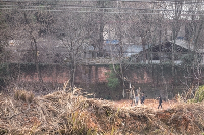 从致远中学附近远眺粮库北部围墙，胡鑫宇遗体缢吊于该墙内一树干上。 特派记者 陈中秋 摄