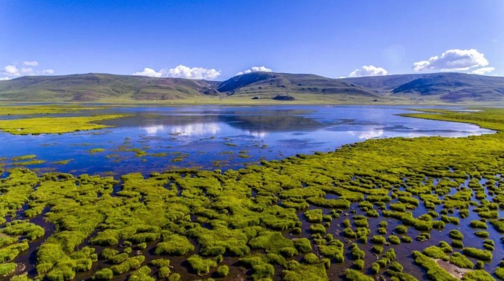 青海玉树隆宝国家级自然保护区湿地美景(受访者供图)