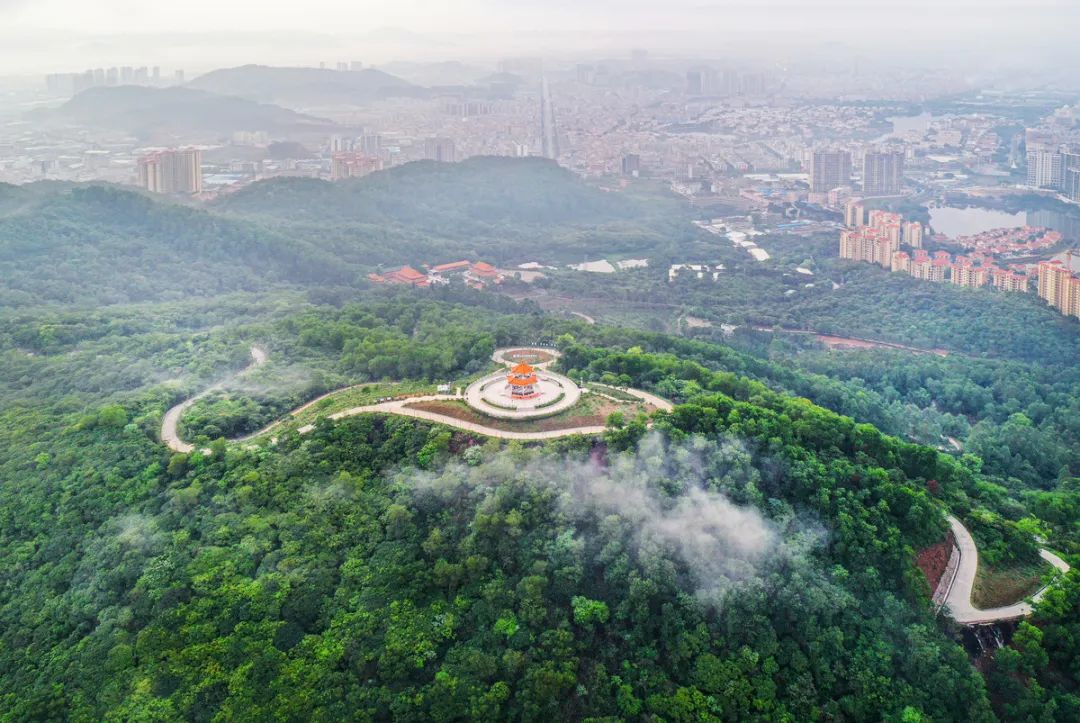 金鸡岭森林公园 梁文栋 摄