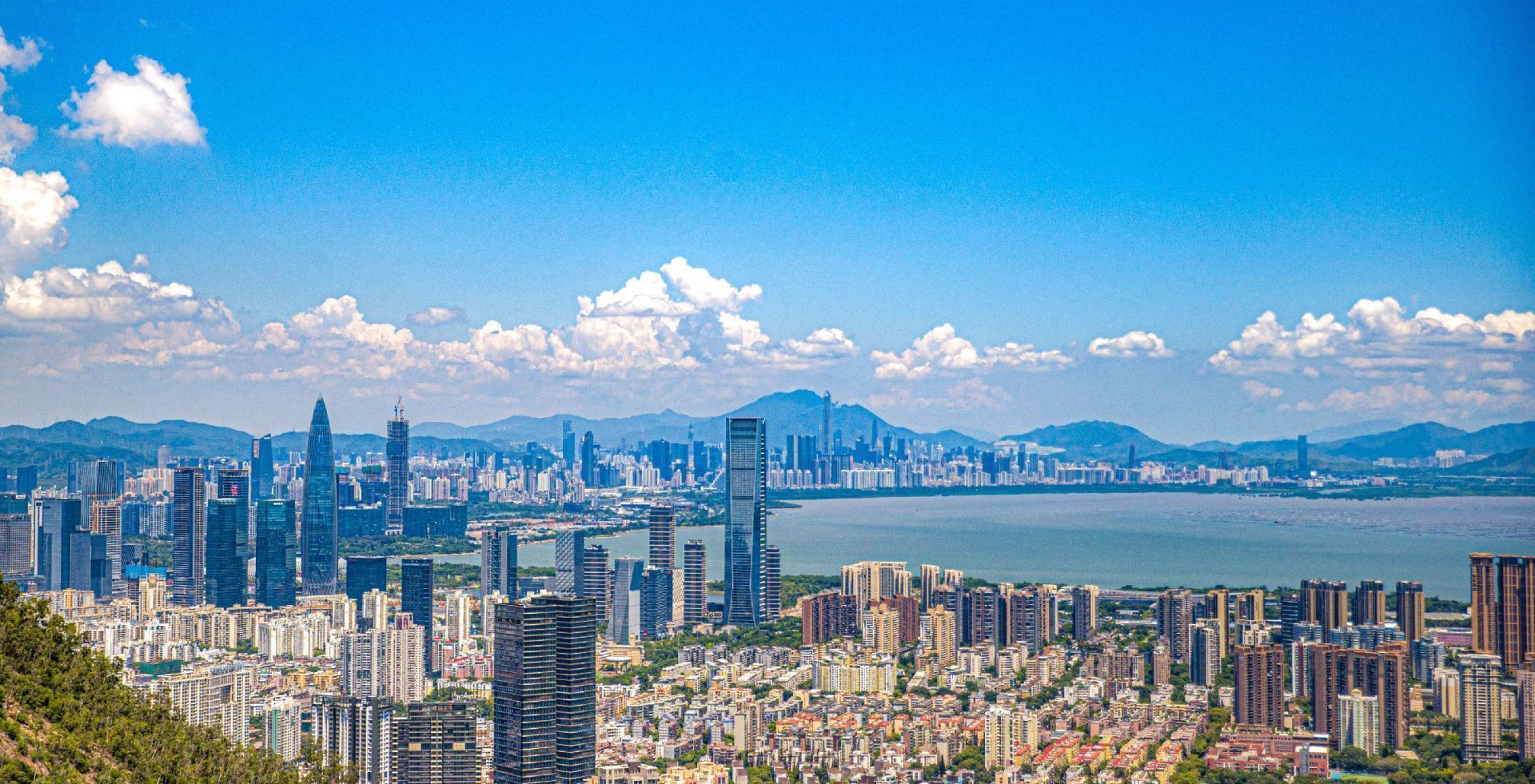 深圳锚定高质量发展首要任务跑起来抢时间争一流