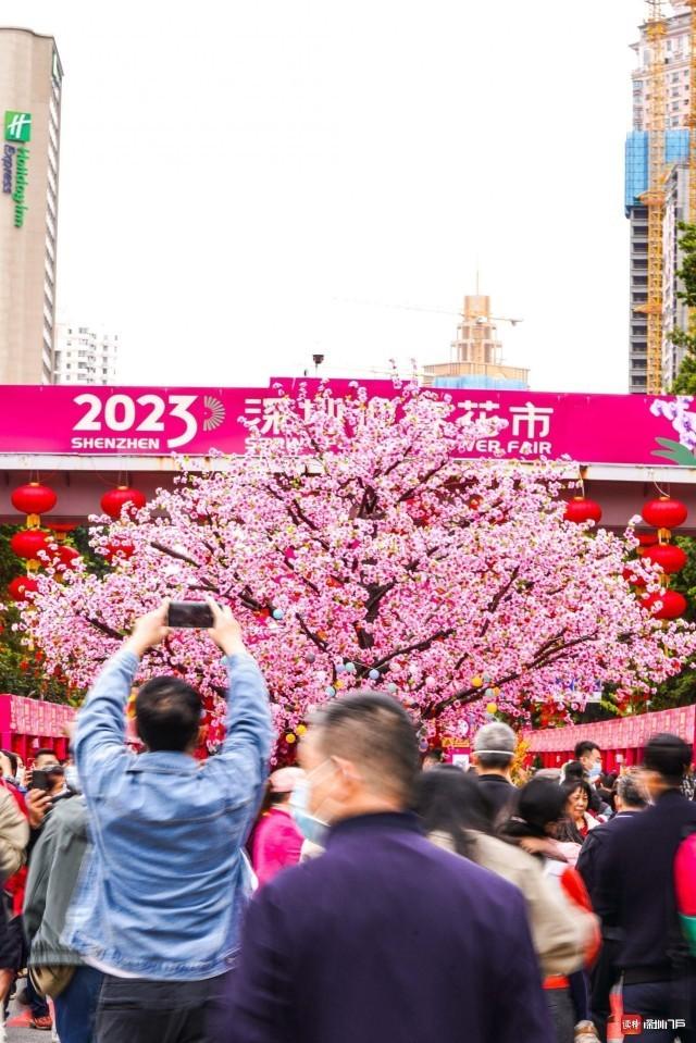 2023年春节前，爱国路花市重启。读特记者 葛墨含 摄