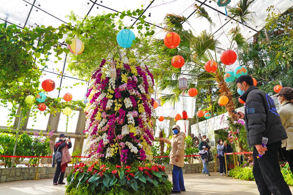 游客在参观游览元宵兰花展。（国家植物园供图）