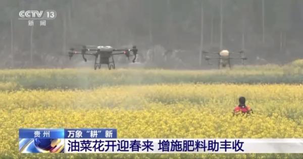 △贵州兴义6000亩油菜花迎来盛花期，农技服务人员操作植保无人机给油菜喷洒硼肥。