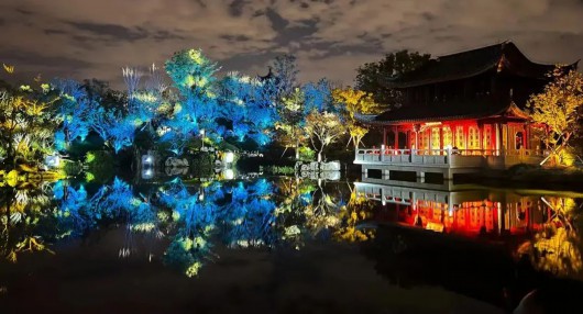 奔走相告（上海人民公园花展）上海那个公园有花展，(图9)