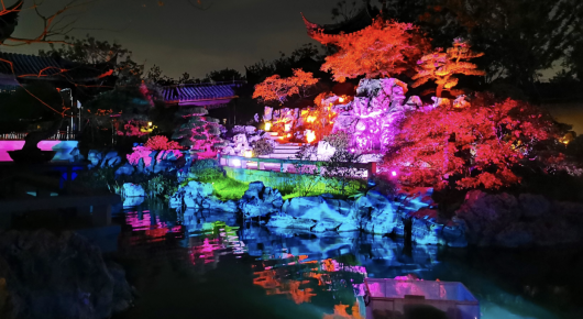 奔走相告（上海人民公园花展）上海那个公园有花展，(图10)