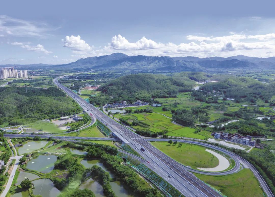 高速公路车流量呈恢复性增长,江门交通"跑"出复苏新态势!|江门市_新浪