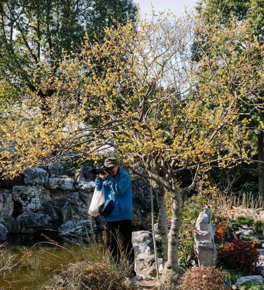 奔走相告（上海人民公园花展）上海那个公园有花展，(图16)