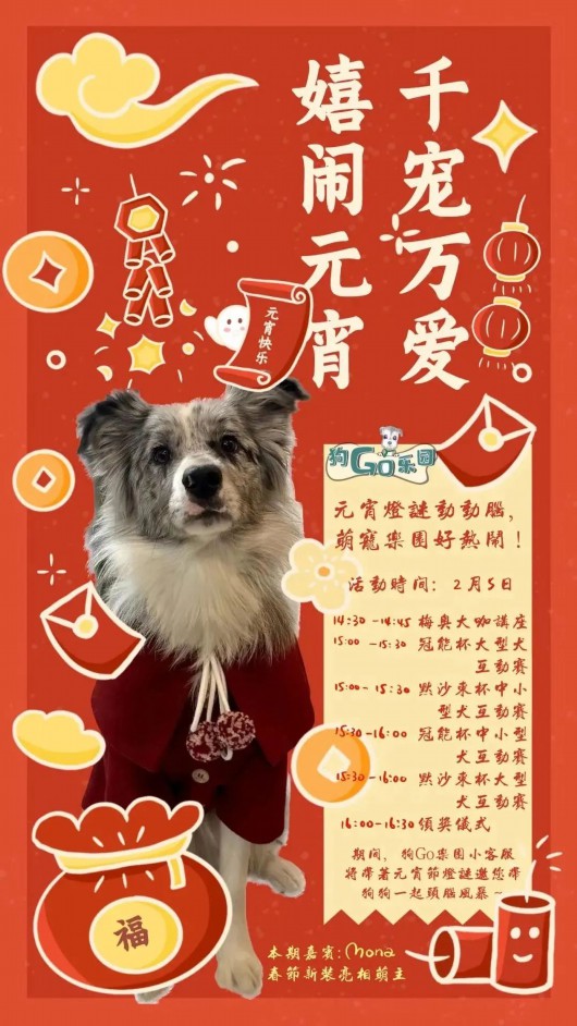 奔走相告（上海人民公园花展）上海那个公园有花展，(图13)