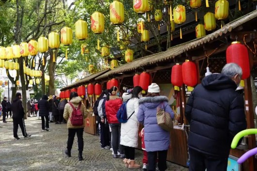 奔走相告（上海人民公园花展）上海那个公园有花展，(图5)