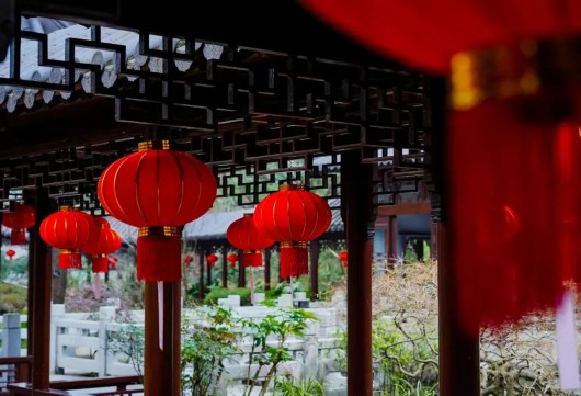 奔走相告（上海人民公园花展）上海那个公园有花展，(图8)