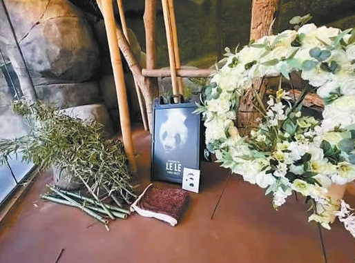 　　孟菲斯动物园社交媒体上关于“乐乐”悼念活动的截图。园方邀请喜欢“乐乐”的游客留下鲜花、竹叶和悼念的字条。
