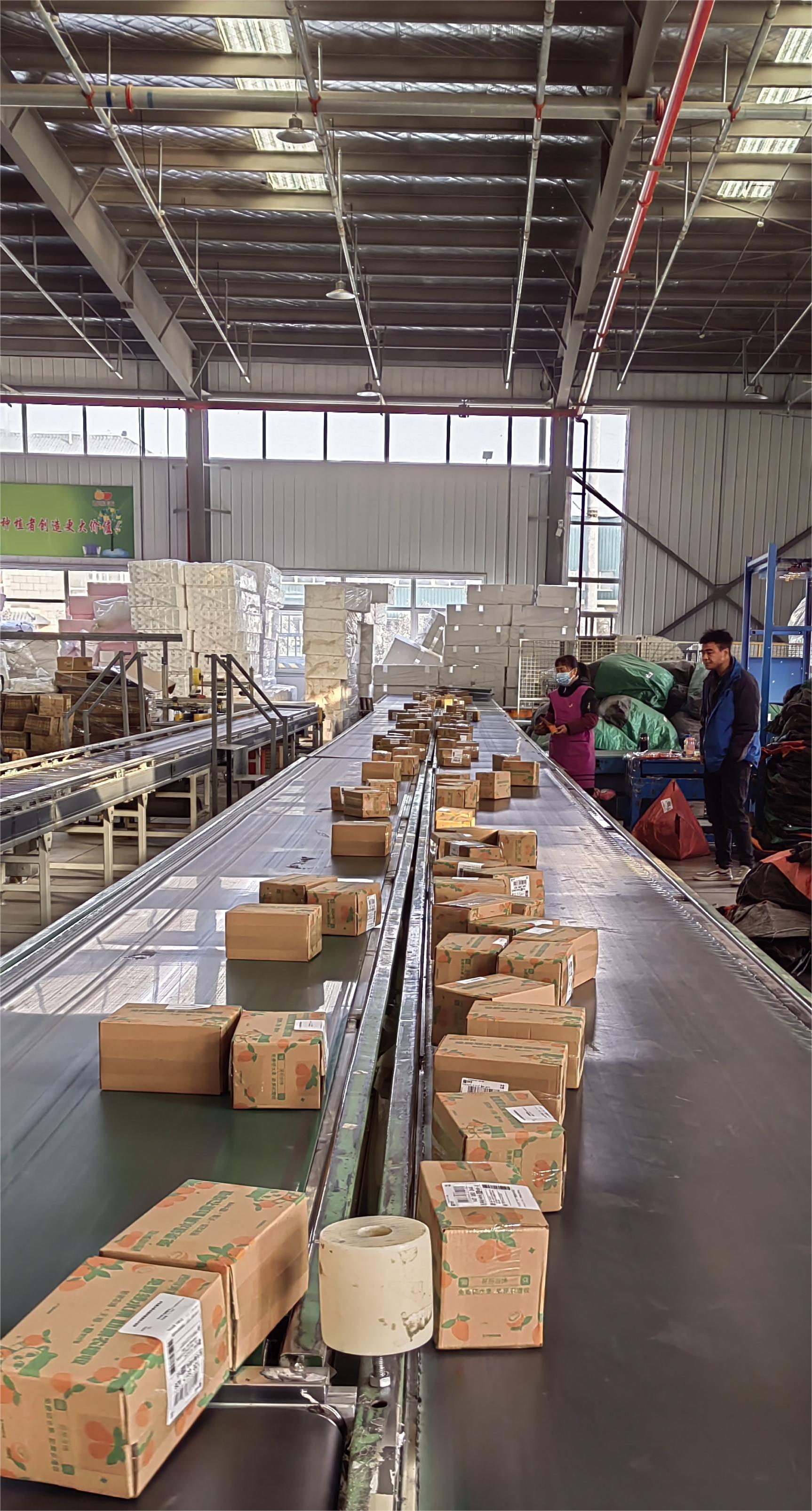 仓储物流中心传送带上的一箱箱农特产品即将发往全国各地.徐文智/摄