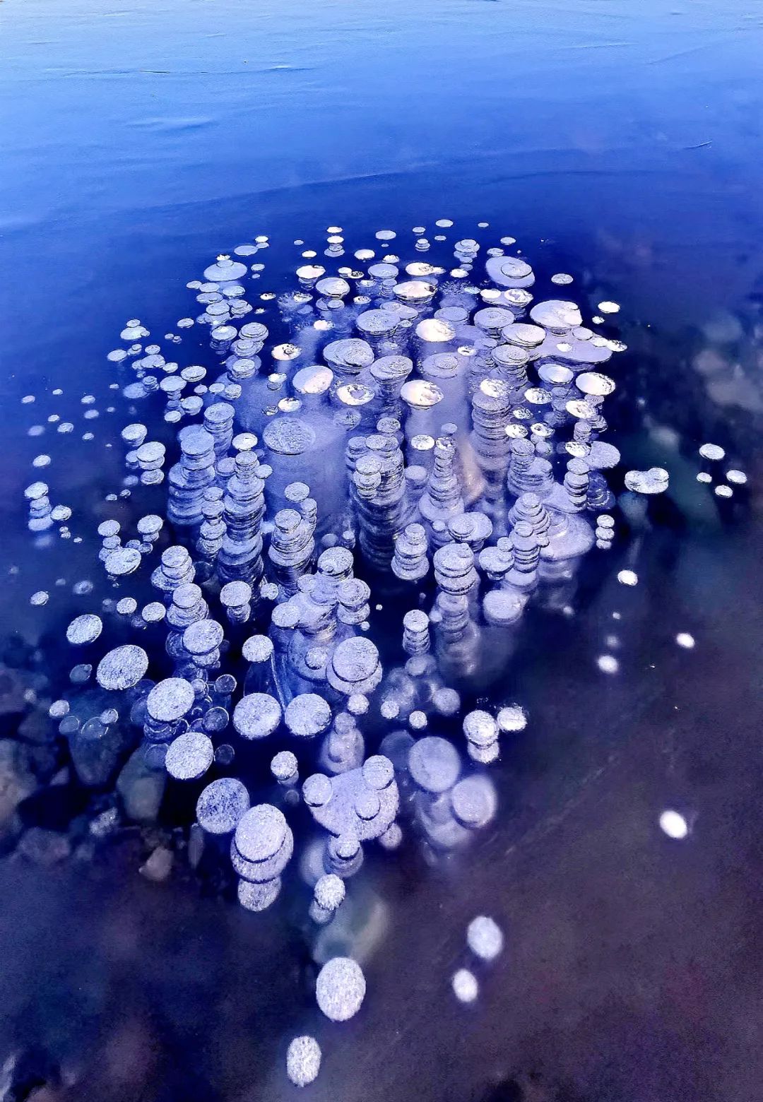 赛里木湖的水一般由融化的雪水,雨水,地底泉水组成,造就了"魔幻冰泡"