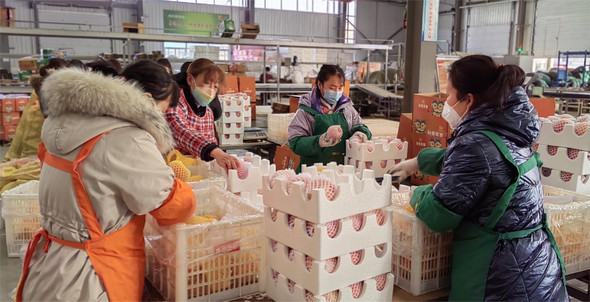 新春走基层|"一站式"服务让农产品放心"进城"|武功县_新浪财经_新浪网