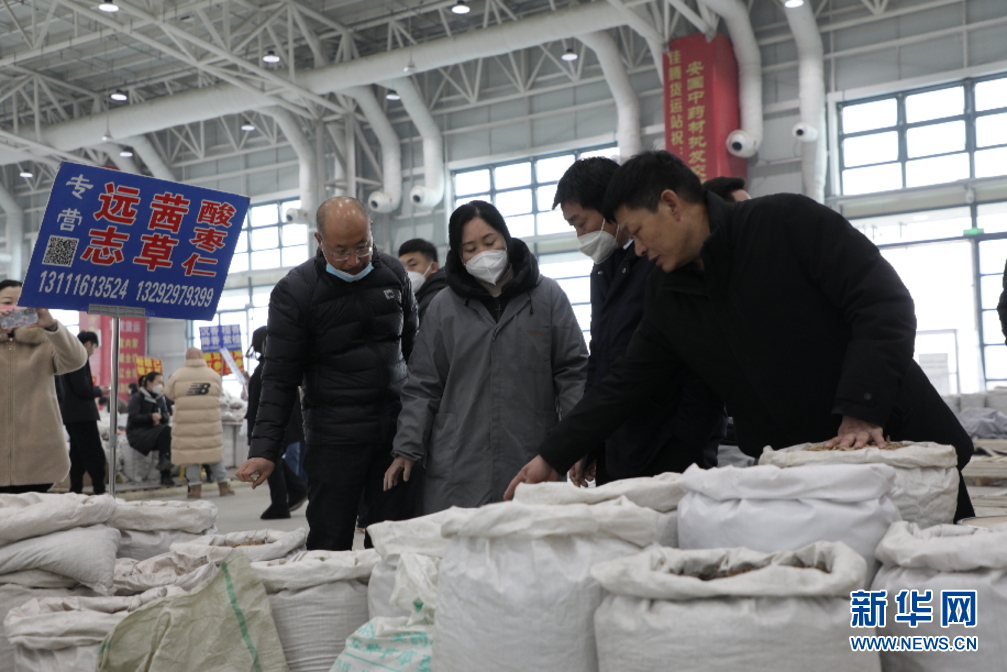 新华网发 于子涵摄