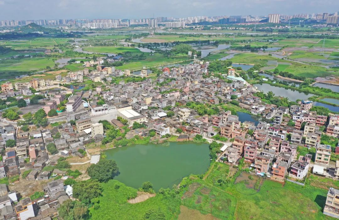 阳江这场大会引起热烈反响