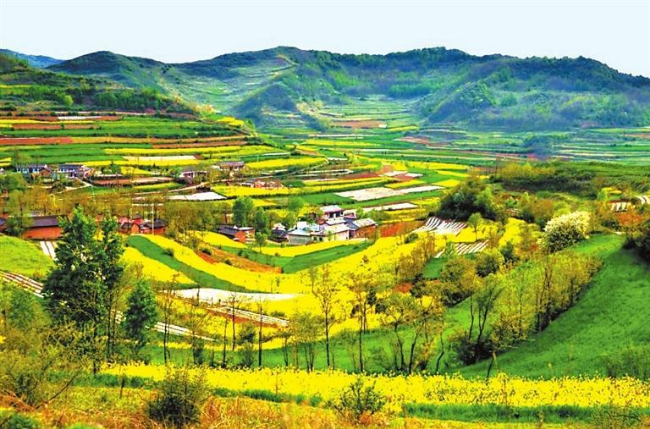 陇南市两当县梯田工程.&nbsp;本文图片由省水利厅提供