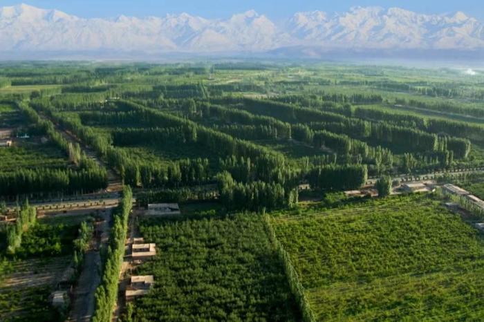 图)向天争绿阿克苏地处新疆维吾尔自治区天山南麓,塔克拉玛干沙漠北缘