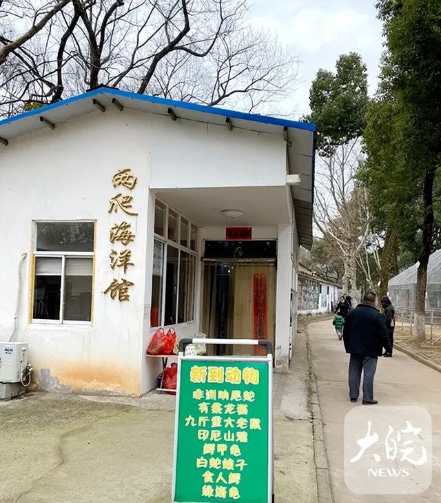 “九斤重大老鼠”身份查清了:实为海狸鼠