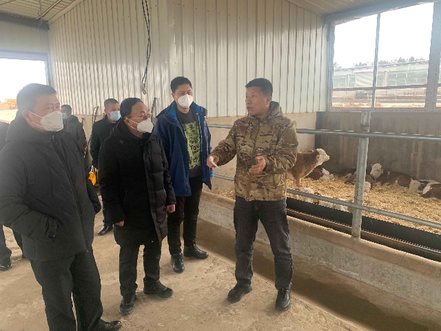 圖為王鳳偉向人民銀行四平市中心支行相關負責人介紹其鼎牛牧業公司的情況。