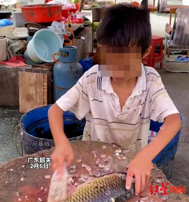 ↑11岁男孩街头杀鱼 视频截图