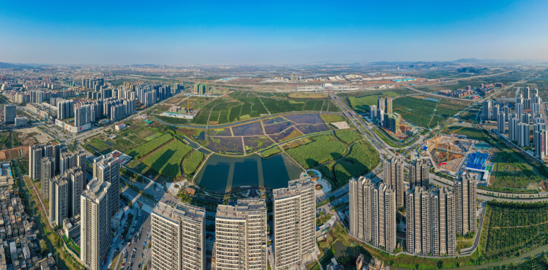 从独唱到合唱江门新会群狼作战做强镇域经济