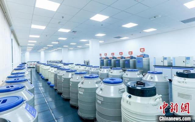 中国首个人类冷冻精子库:捐精是崇高的人道主义行为|中国_新浪财经