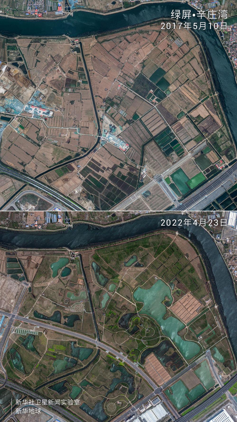 卫星拍摄的绿屏·辛庄湾对比图.