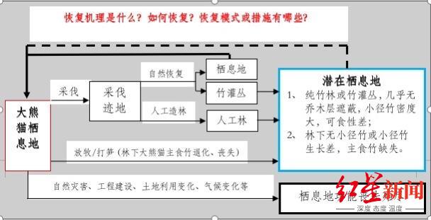 ▲大熊猫退化栖息地形成原因